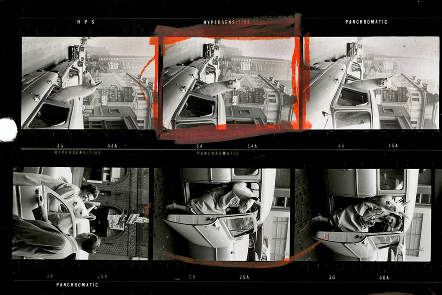 Contact Sheet Print: A Llama in Times Square, 1957 - Image 5