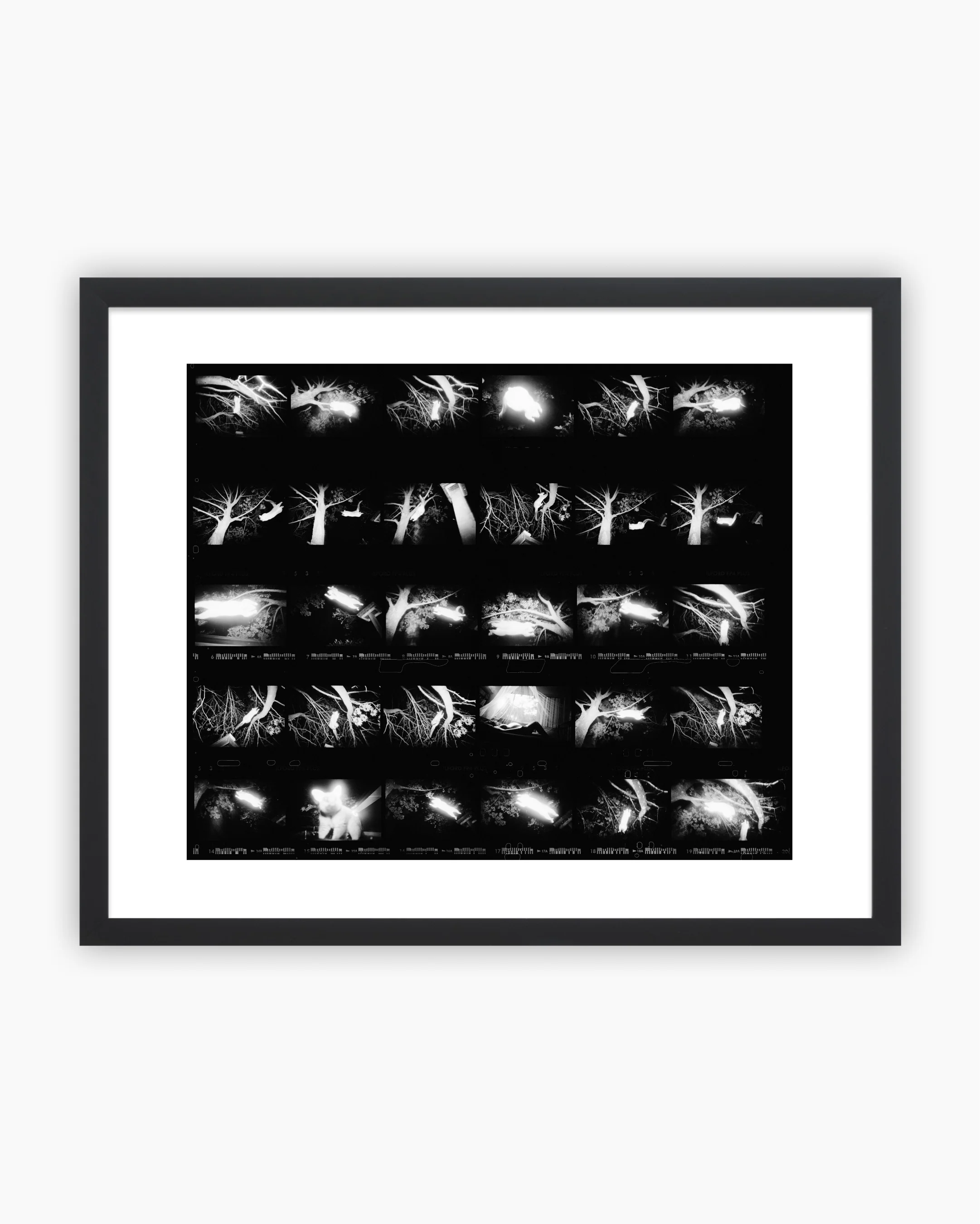 Contact Sheet Print: Newcastle, Australia, 2003. - Image 3