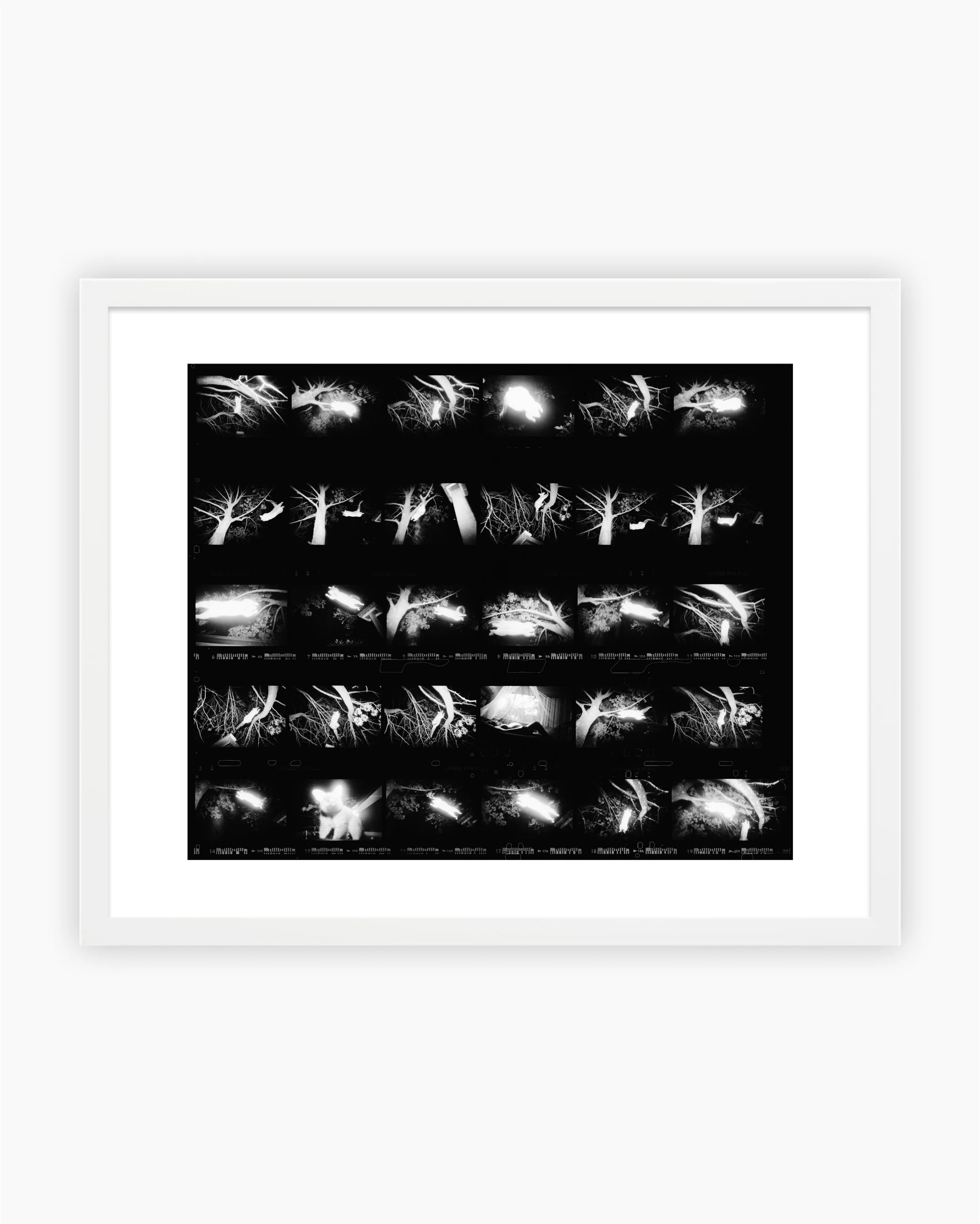 Contact Sheet Print: Newcastle, Australia, 2003. - Image 4