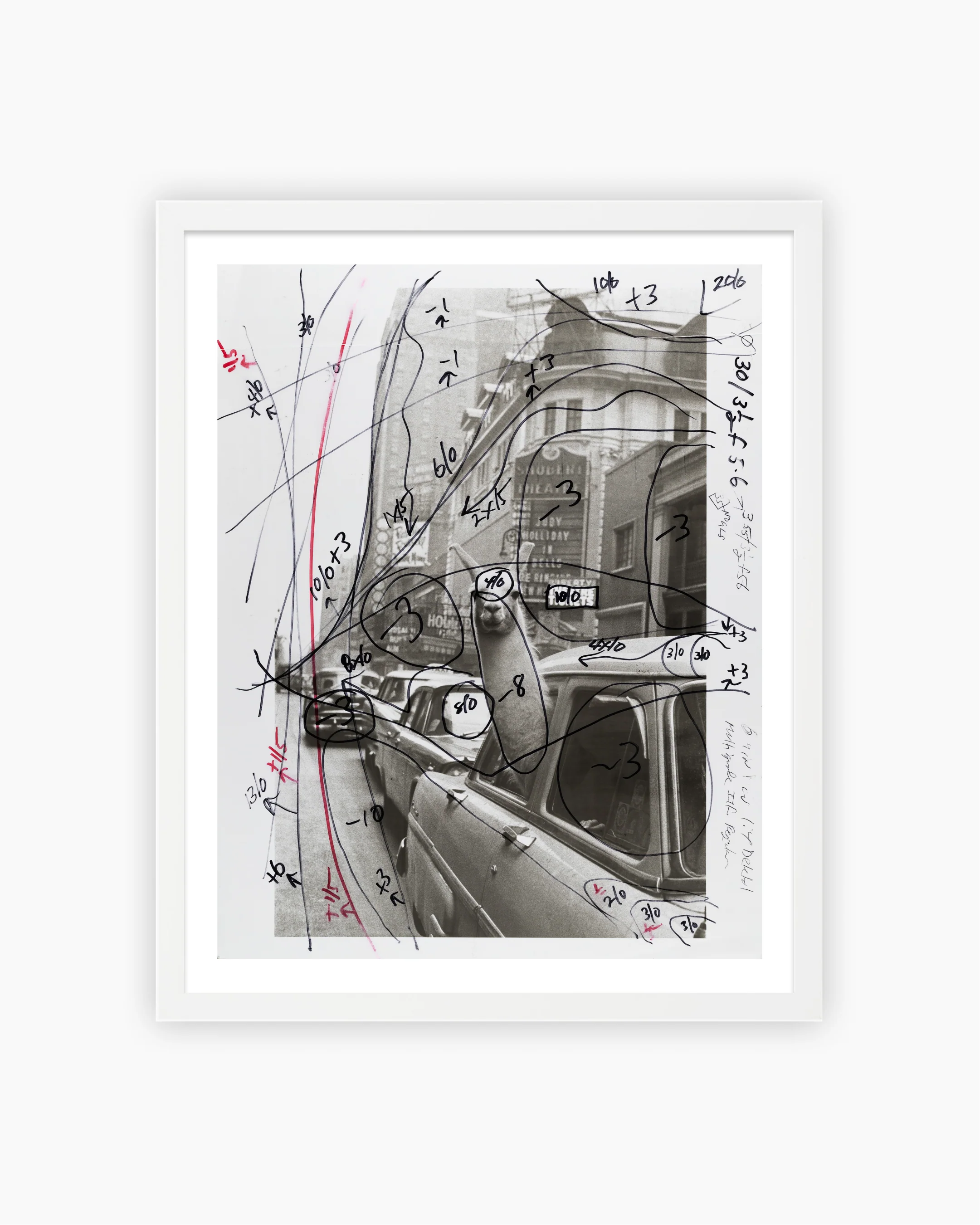 Darkroom Prints: Llama in Times Square, New York City, 1957 - Image 3