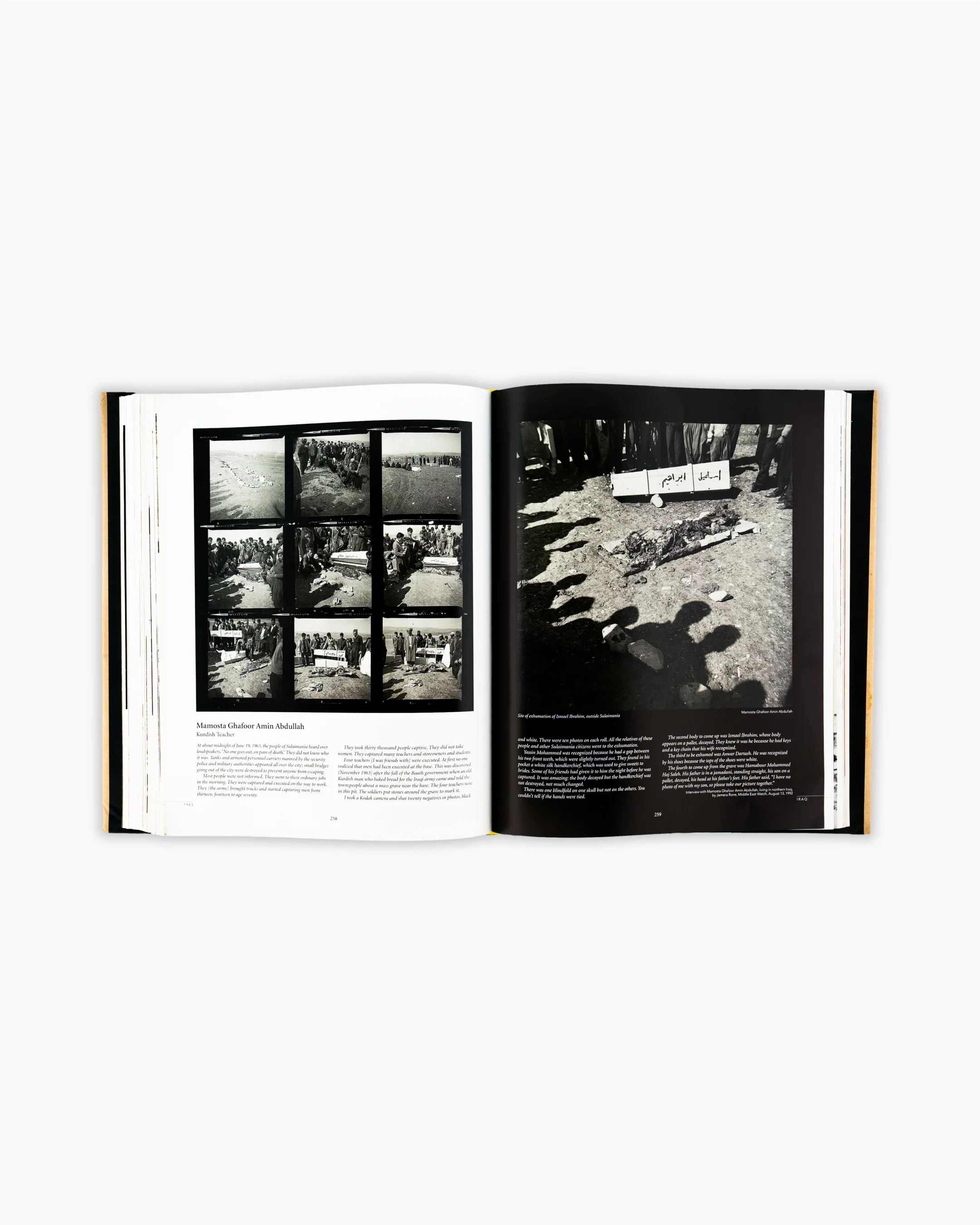 Kurdistan: In the Shadow of History - Image 4