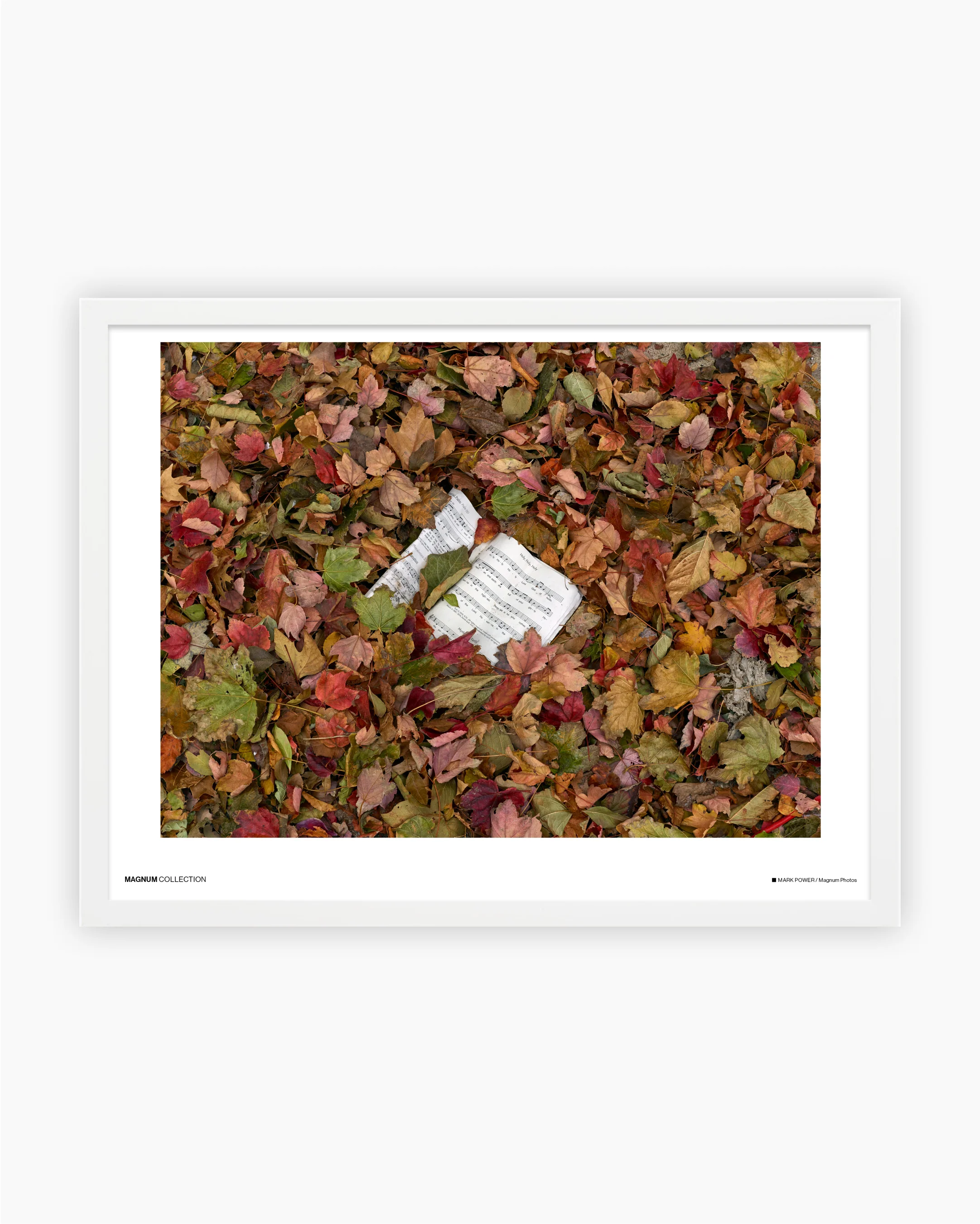 Magnum Poster: Cleveland, Ohio, USA, 2017 - Image 3