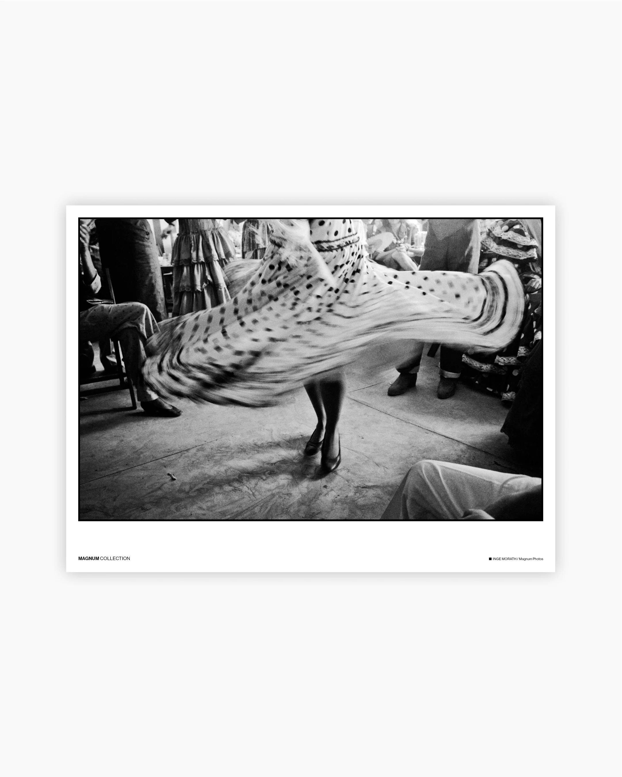 Curated by Newsha Tavakolian