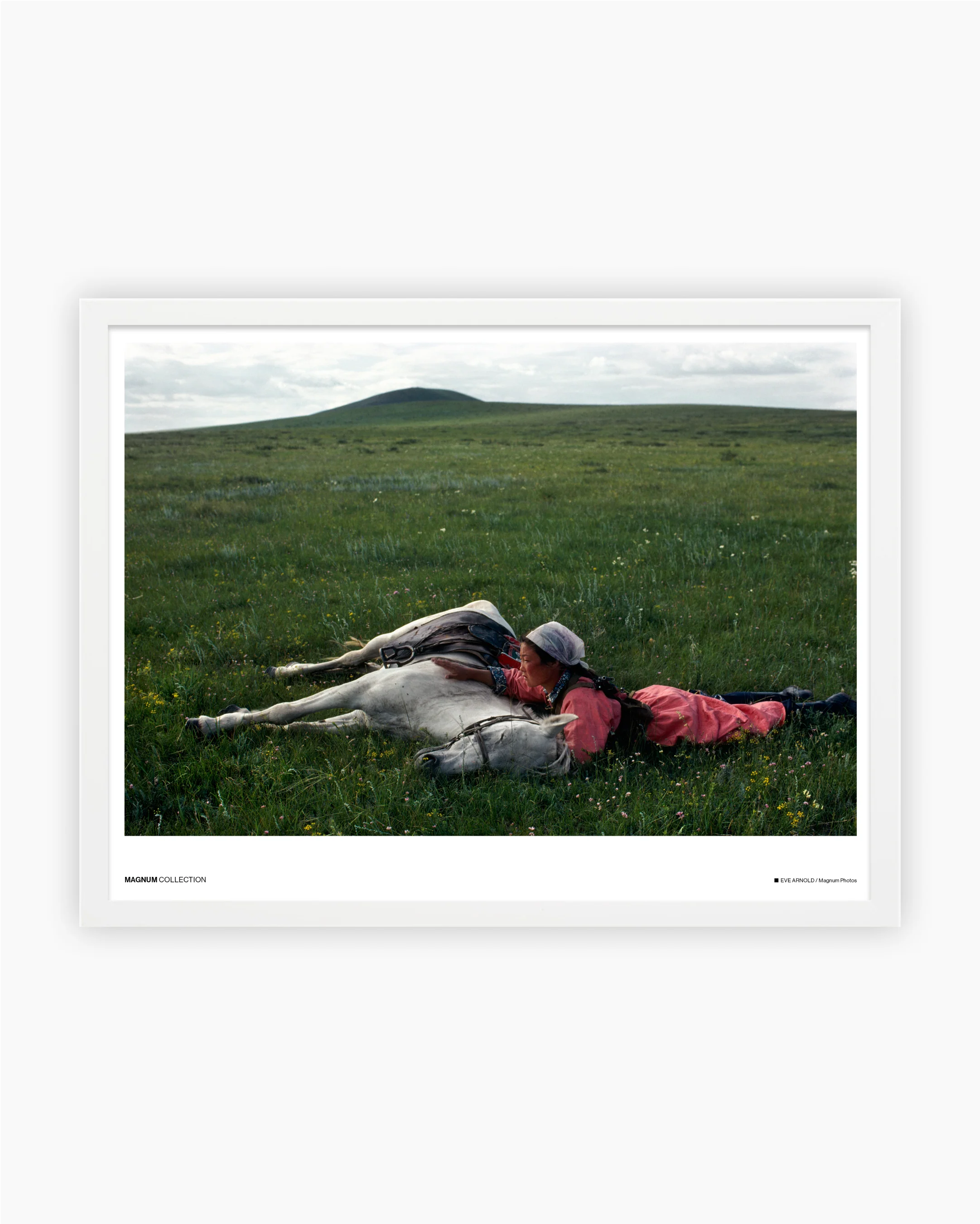 Magnum Poster: Horse training for the militia, 1979 - Image 3