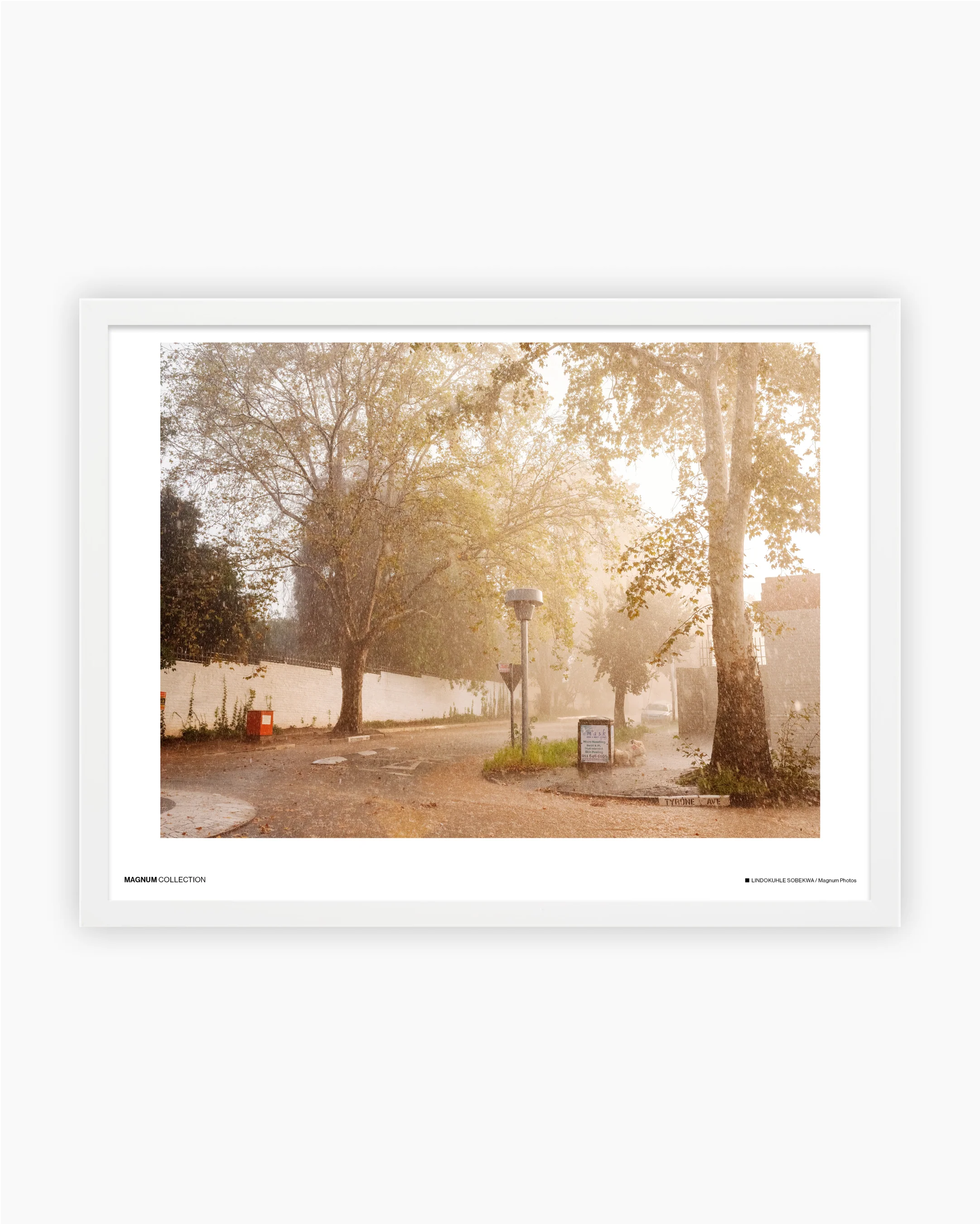 Magnum Poster: Johannesburg, South Africa, 2020 - Image 3