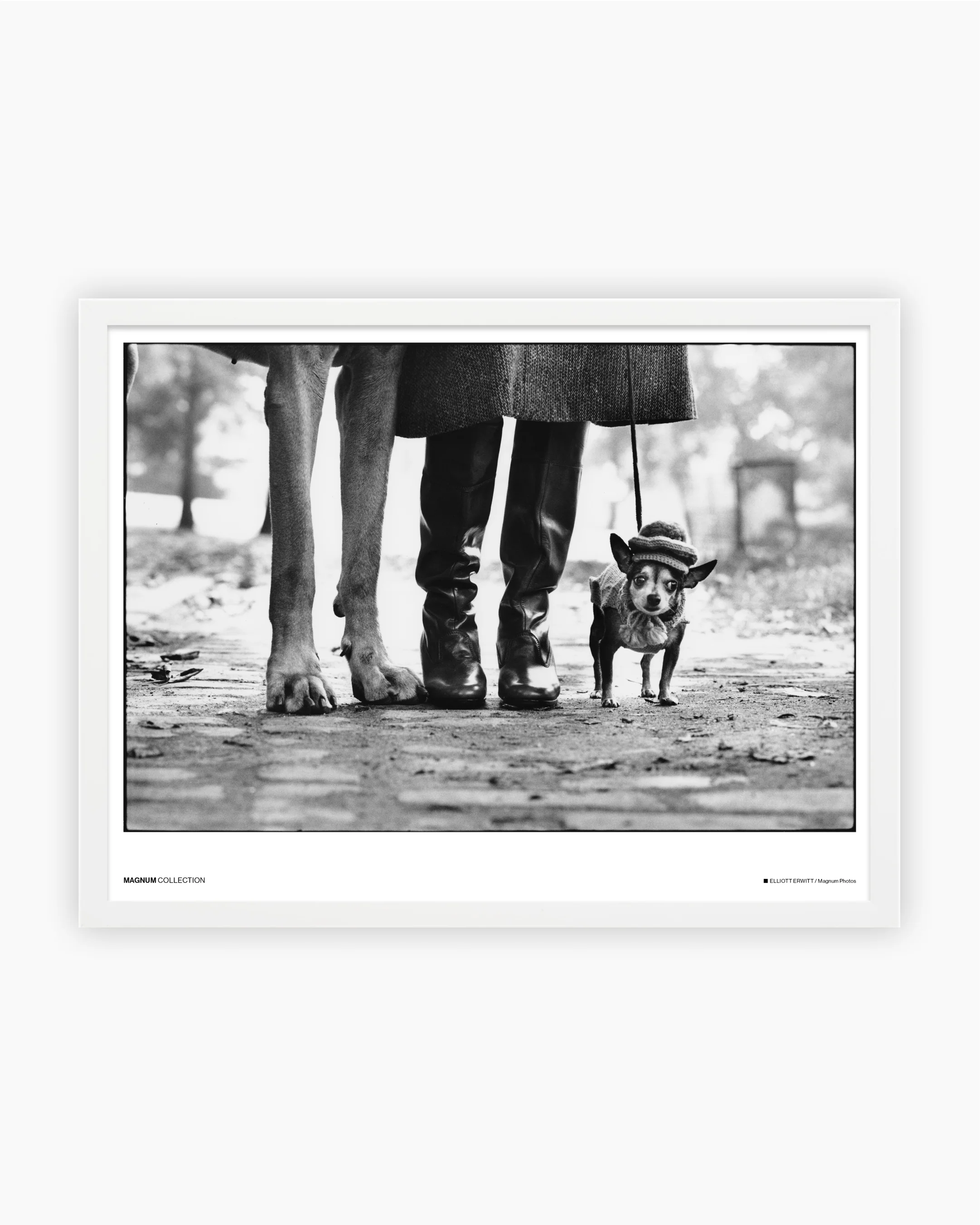 Magnum Poster: New York, 1974 - Image 3