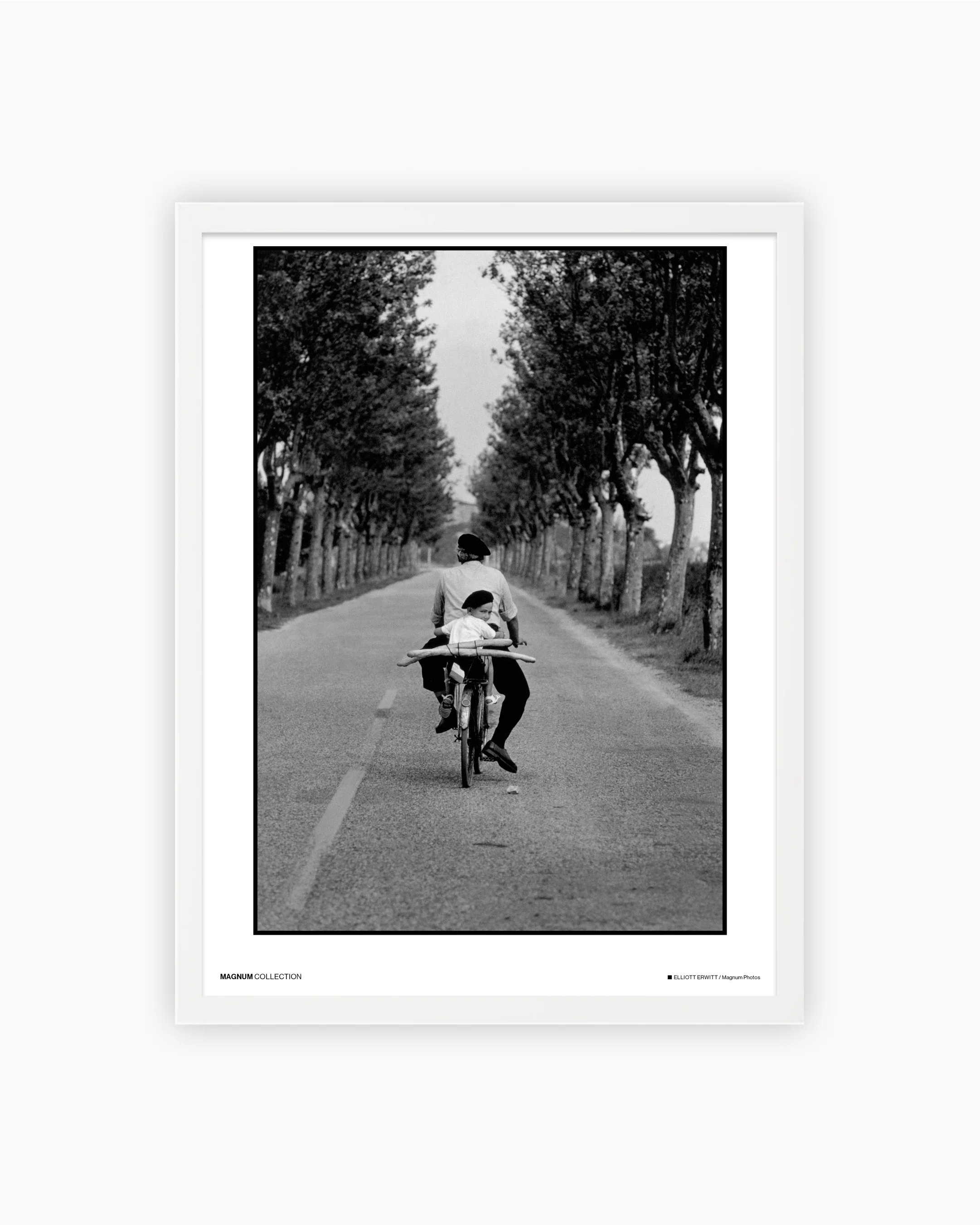 Magnum Poster: Provence. France, 1955 - Image 3