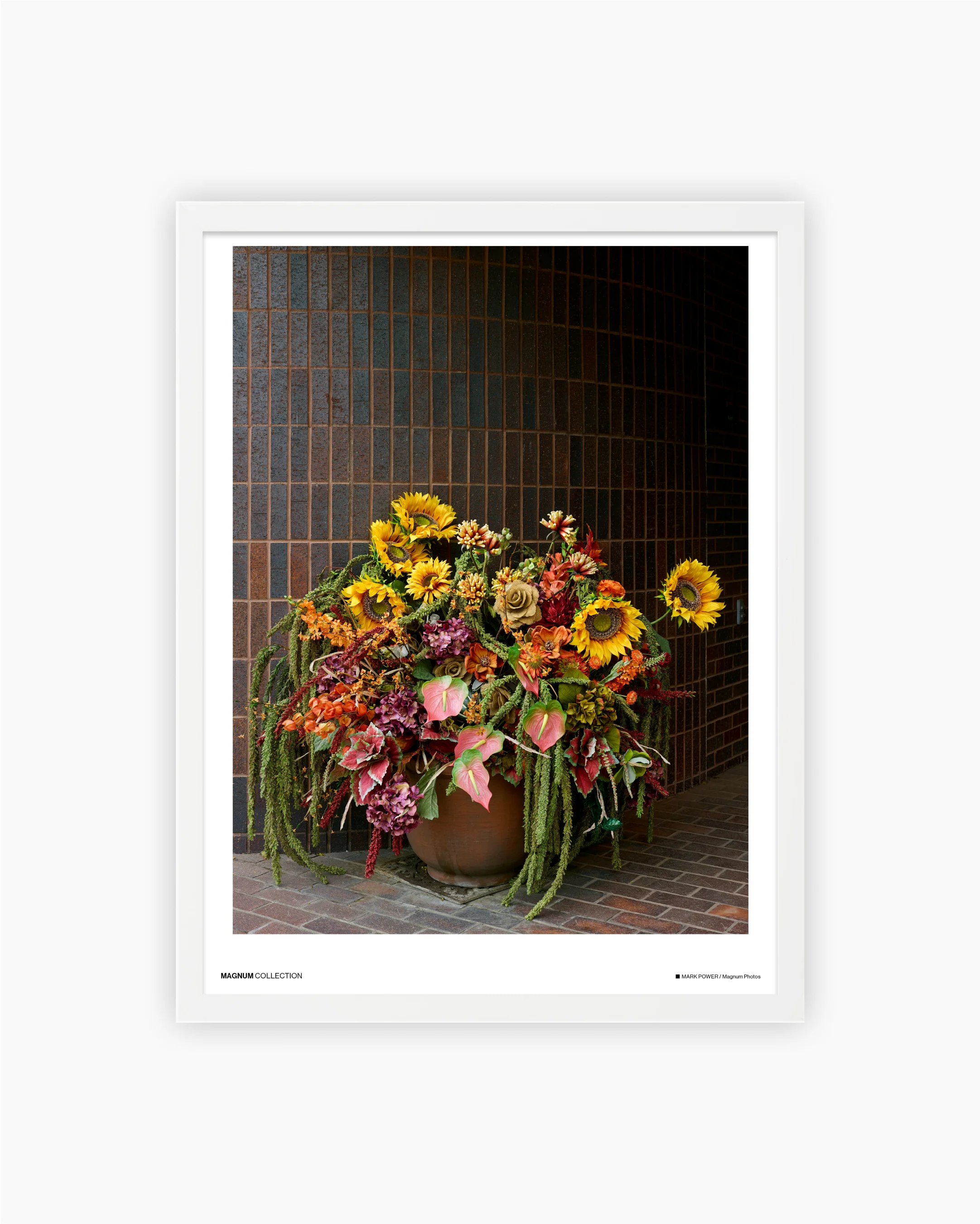 Magnum Poster: Williston, North Dakota, USA, 2018 - Image 3