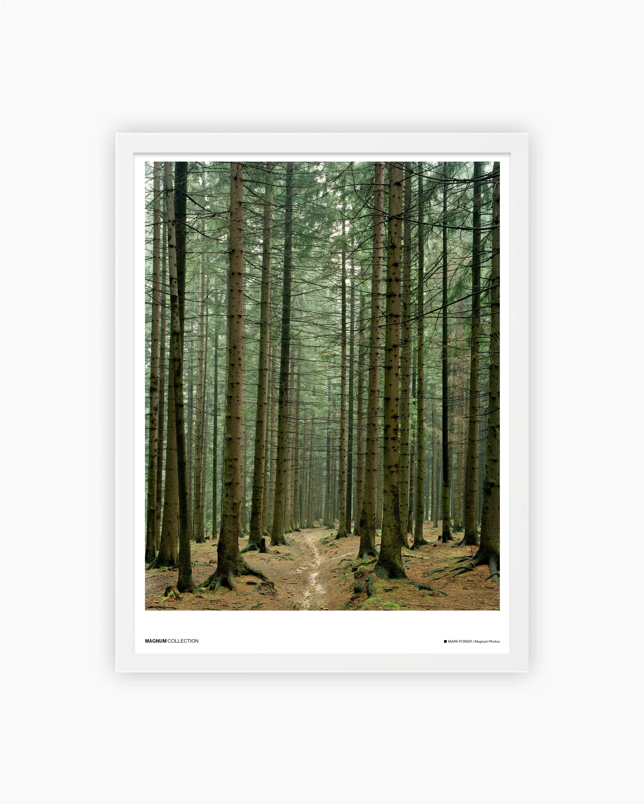 Magnum Poster: Zakopane, Poland, 2004 - Image 3